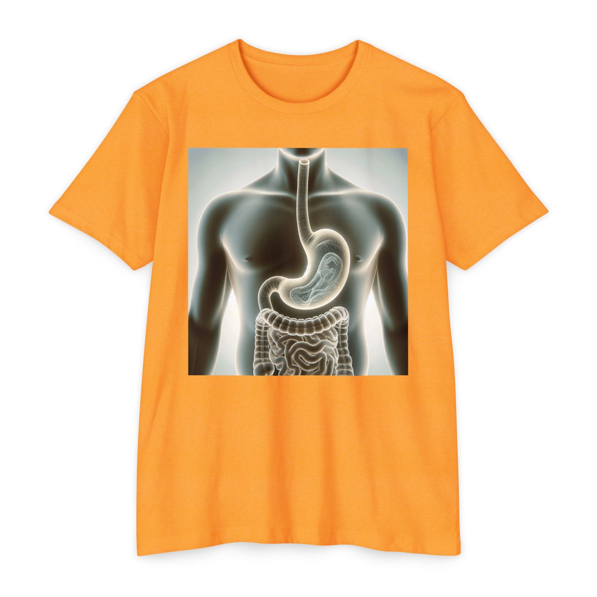 Anatomy Graphic T-Shirt, Unisex Digestive System Tee, Educational Shirt, Science Gift, Biology Lover Apparel, Casual Wear
